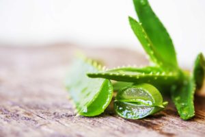 Succo e gel di aloe vera